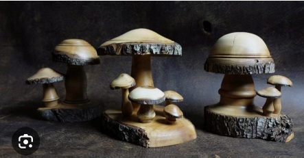 Mushrooms