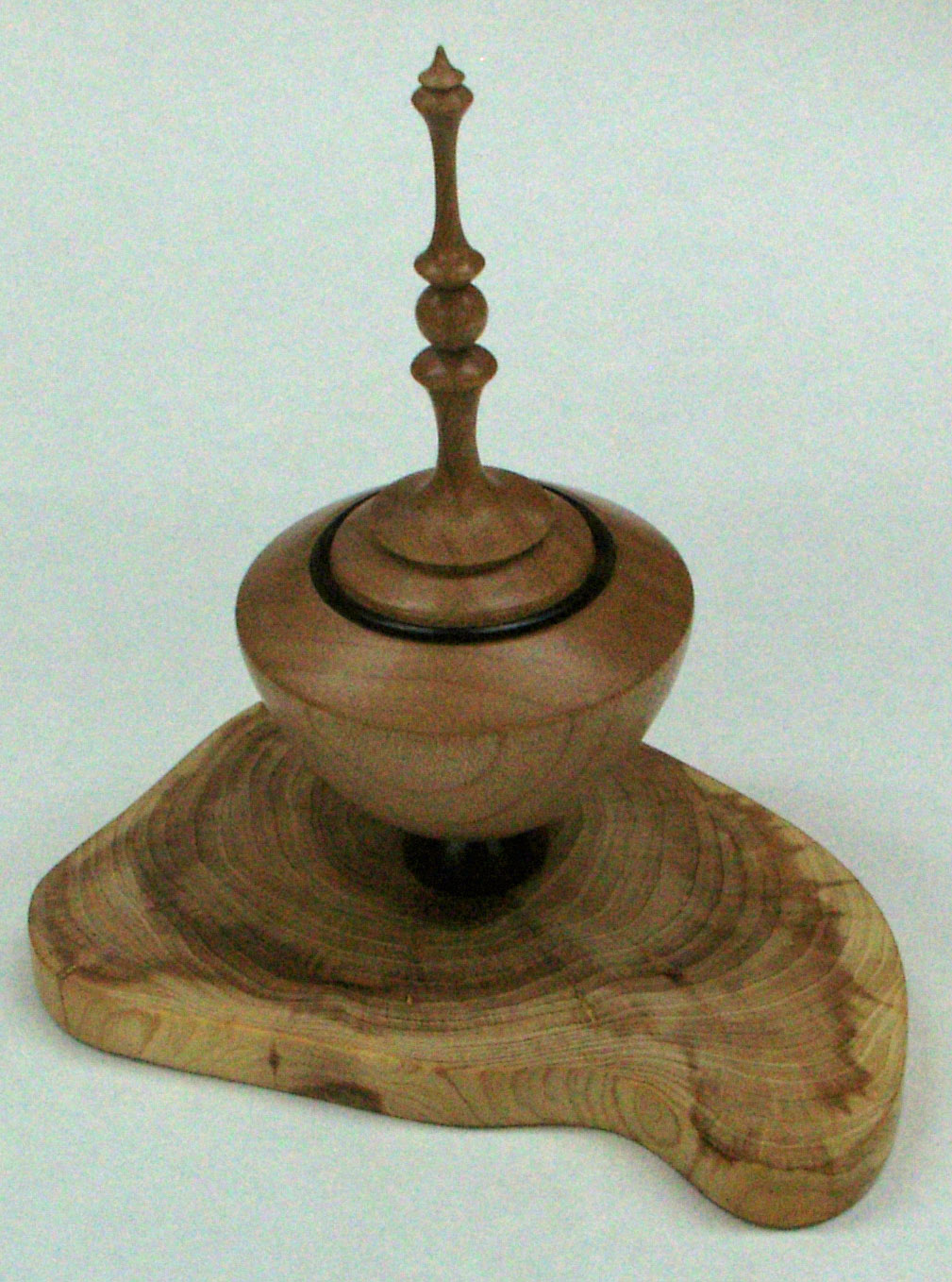 Lidded box, Juniper/Maple/Walnut 1st place WGO 2011